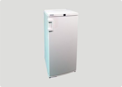 Tiefk&uuml;hlschrank x Liter 